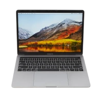 Apple MacBook Pro A1989 2018 Intel Core i5 8th Gen MR9Q2LL/A laptop