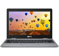 ASUS Chromebook C223NA laptop