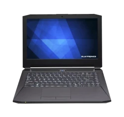 Eluktronics Eluktro Pro-X P770DM-G laptop