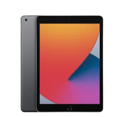 Apple iPad 10.2 8th Gen 32GB Wi-Fi + Cellular tablet